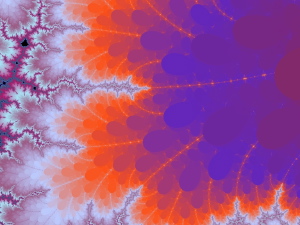 0429